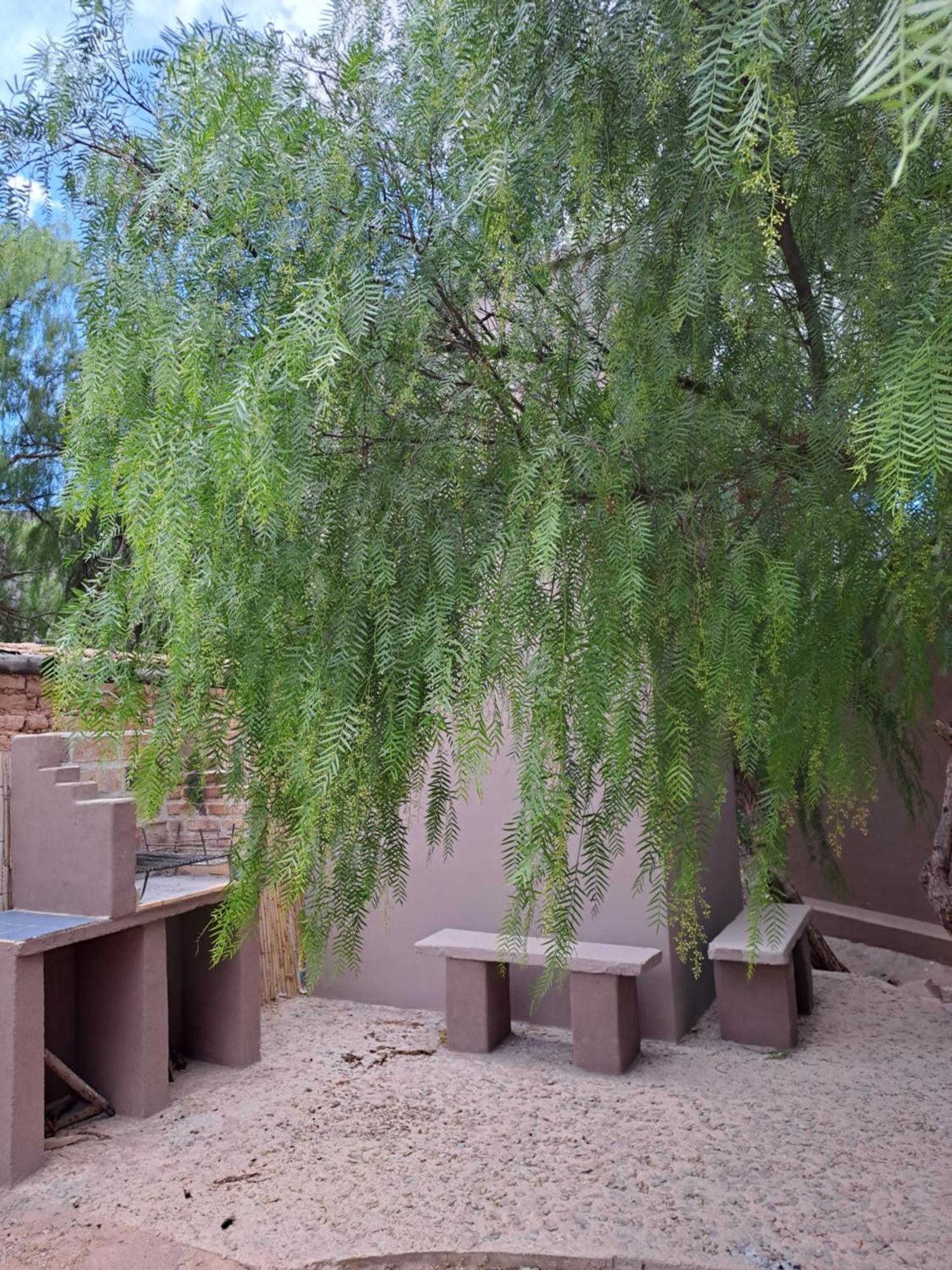 Casa en Tilcara con hermosa vista al Pucara Exterior foto